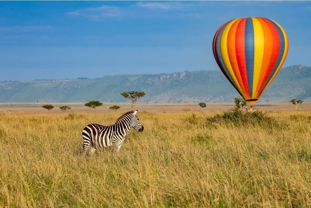 5 Day Masai Mara Signature Safari